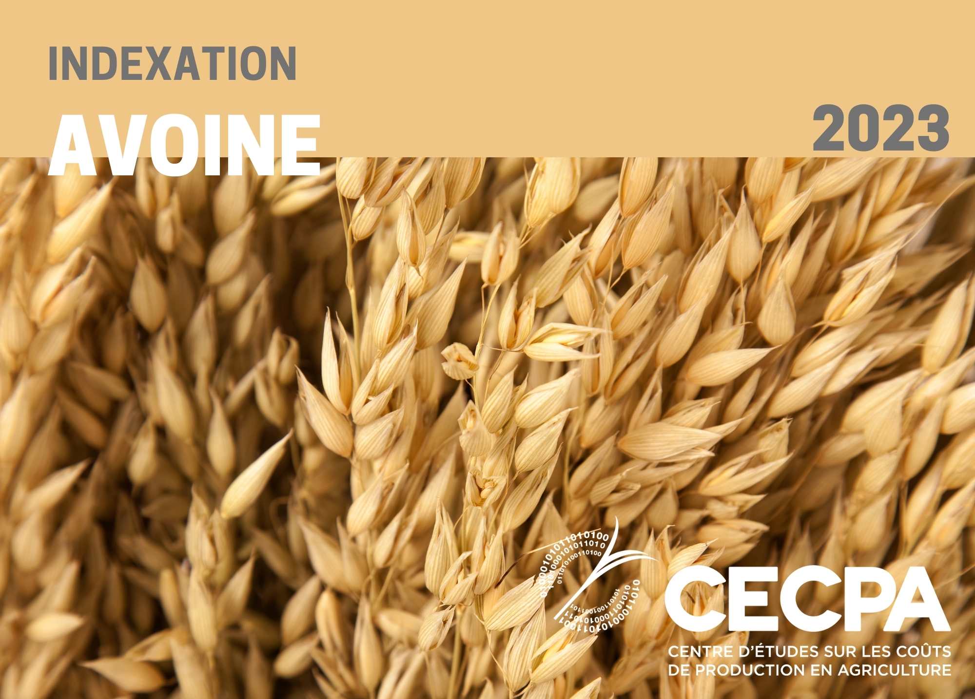 Informations complémentaires : INDEXATION 2023 - AVOINE